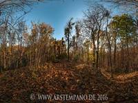 Pillnitz / künstliche Ruine von Westen - 2016