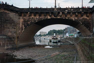 Elbe in Dresden im August 2015