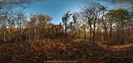 Pillnitz, künstliche Ruine, Westseite, Panorama